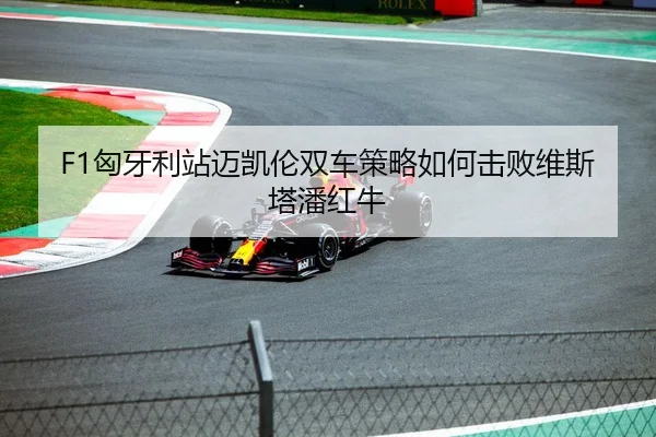 F1匈牙利站迈凯伦双车策略如何击败维斯塔潘红牛