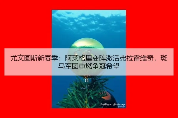 you-wen-tu-si-xin-sai-ji-a-lai-ge-li-bian-zhen-ji-huo-fu-la-huo-wei-qi-ban-ma-jun-tuan-zhong-ran-zheng-guan-xi-wang-2-309.jpg