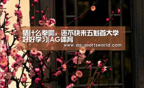 AG篮球