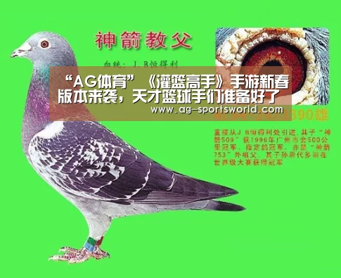AG赛事